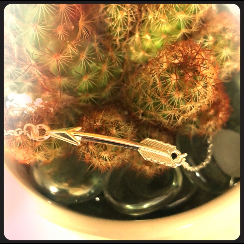 Silver Colored Arrow Necklace